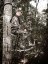 Přenosný posed X-STAND TREESTAND SIT N' CLIMB