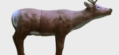 Stag with Insert and horns, 3D target for bows and crossbows