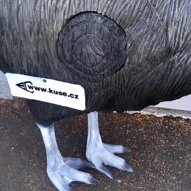 CASSOWARY WITH INSERT Eleven E66, 3D crossbow and bow target