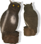 Sova - Owl Eleven