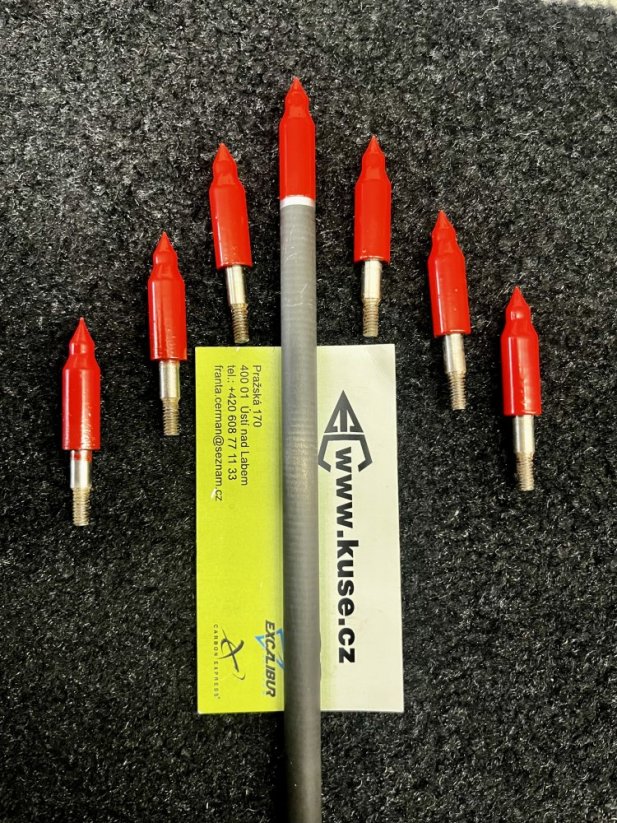 Target 3D 200 grain point Premium - 6pc