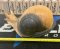 Hlemýžd - Snail, 3D target for bows and crossbows