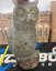 Sova - Owl Eleven