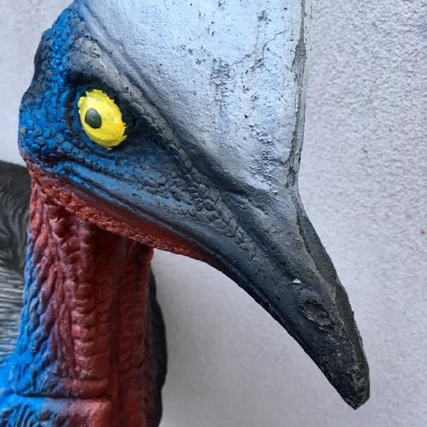 CASSOWARY WITH INSERT Eleven E66, 3D crossbow and bow target