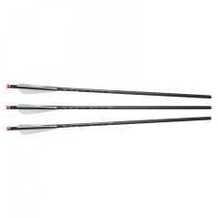 Firebolt Excalibur Iluminated Arrows 3pc