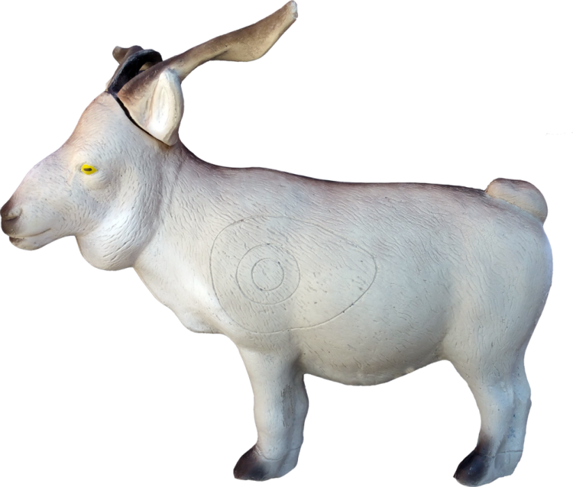 Goat Eleven