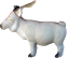 Goat Eleven