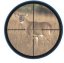 VARIZONE EXCALIBUR crossbow scope