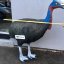 CASSOWARY WITH INSERT Eleven E66, 3D crossbow and bow target