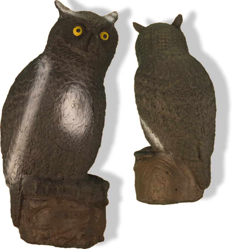 Sova - Owl Eleven