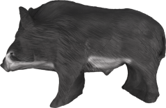 Wild boar medium