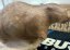 Bobr - Beaver Eleven, 3D target pro lky