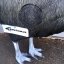 CASSOWARY WITH INSERT Eleven E66, 3D crossbow and bow target