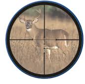 VARIZONE EXCALIBUR crossbow scope