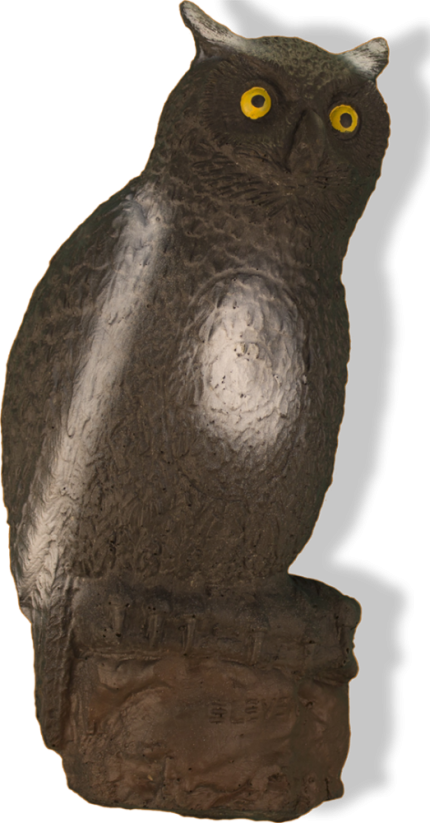 Sova - Owl Eleven
