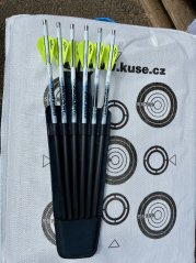 Toulec pro šest šípů pro kuše, black