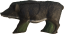 Divočák velký s insertem