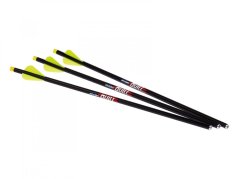 Quill Excalibur Iluminated Arrows 3 ks with rear illuminated insert